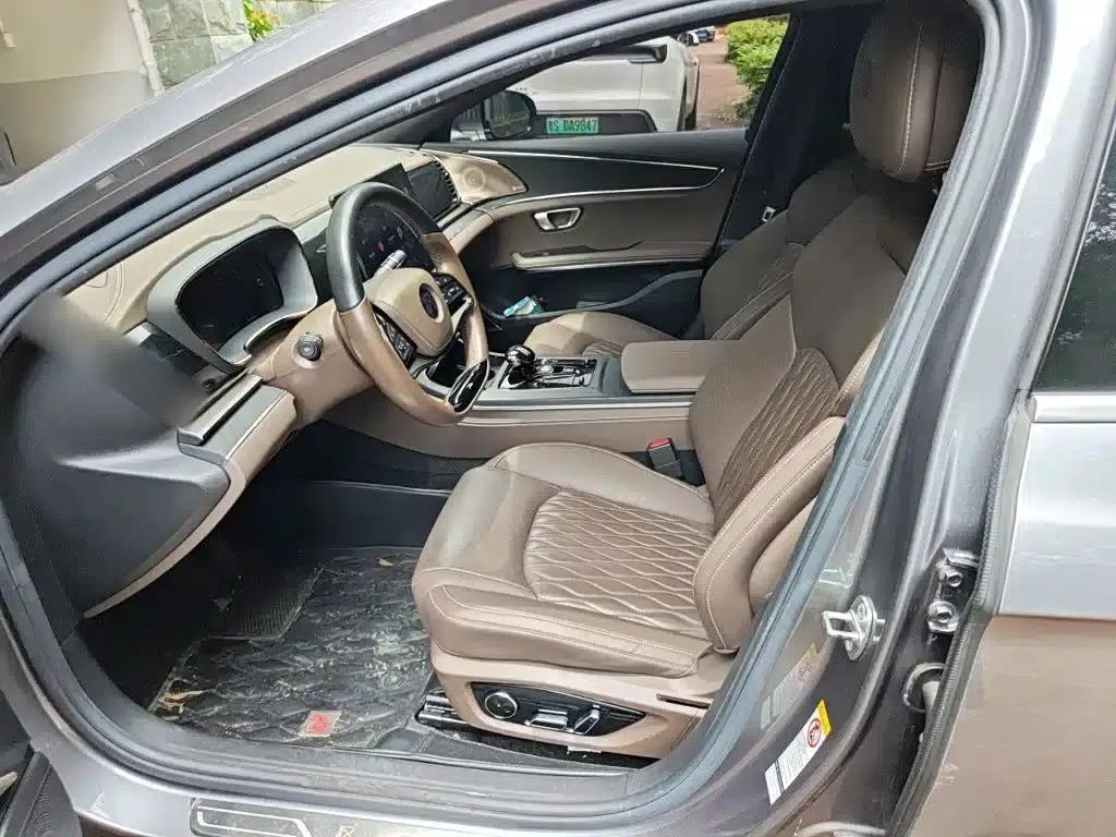 2020 Han DM 4WD Performance Premium Edition — миниатюра 11