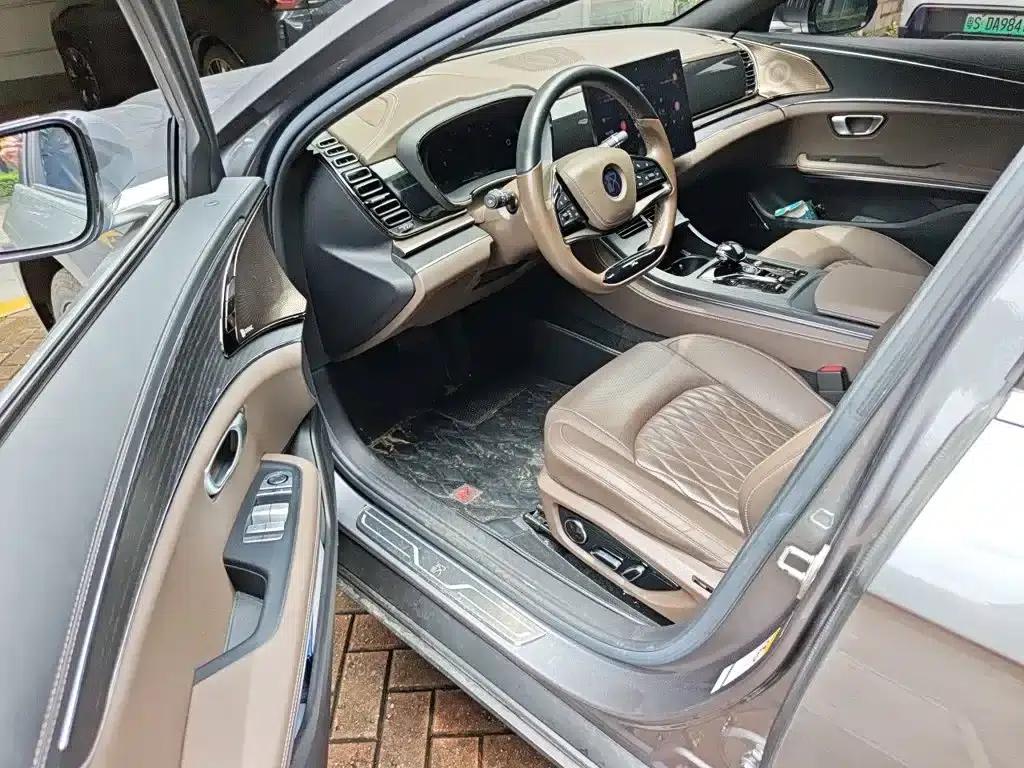 2020 Han DM 4WD Performance Premium Edition — миниатюра 12