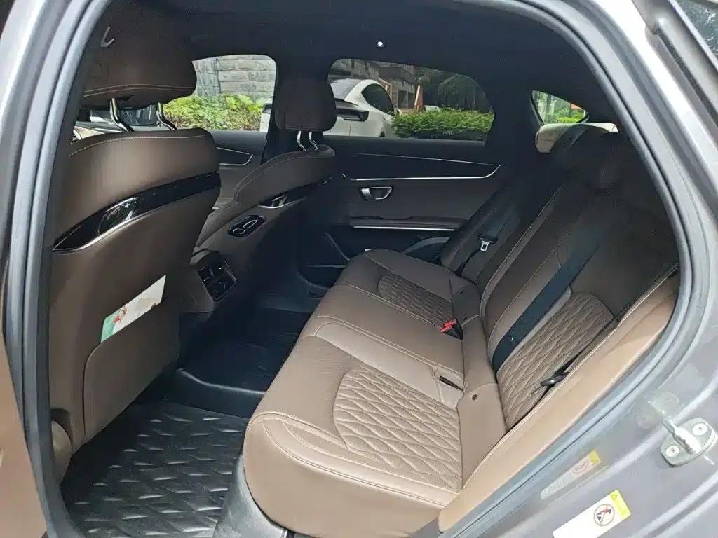 2020 Han DM 4WD Performance Premium Edition — миниатюра 13
