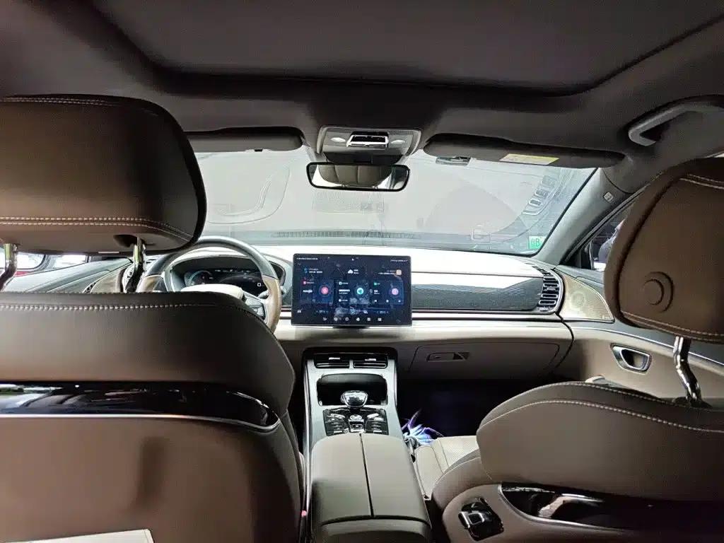 2020 Han DM 4WD Performance Premium Edition — миниатюра 14