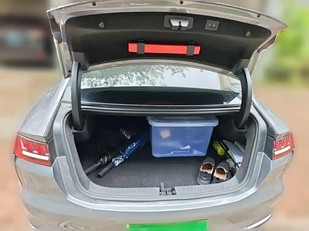2020 Han DM 4WD Performance Premium Edition — миниатюра 15