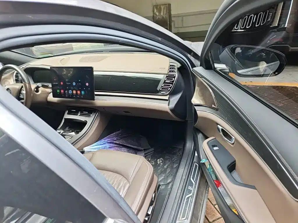 2020 Han DM 4WD Performance Premium Edition — миниатюра 21