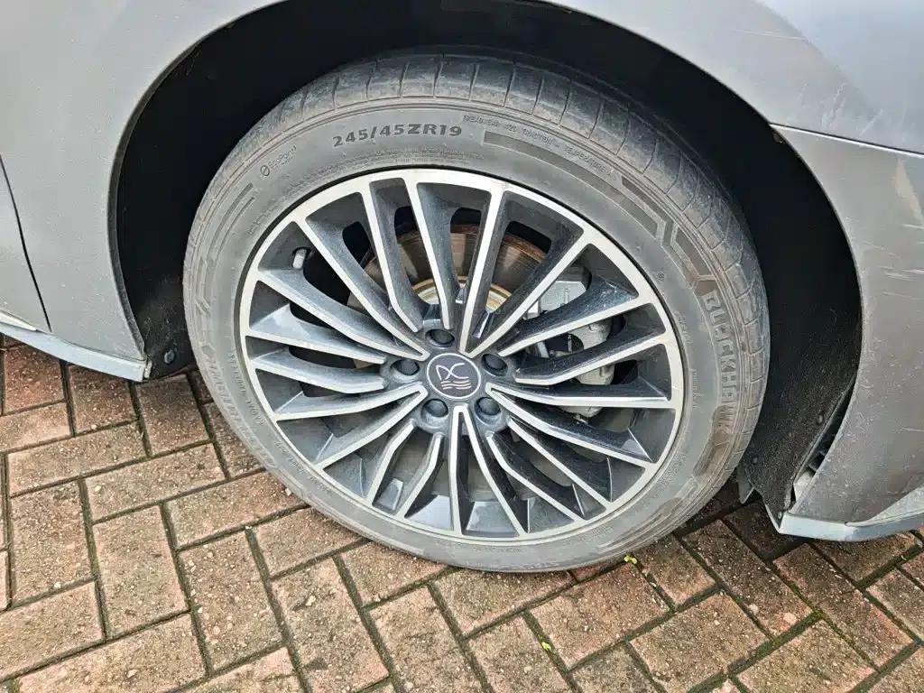 2020 Han DM 4WD Performance Premium Edition — миниатюра 26