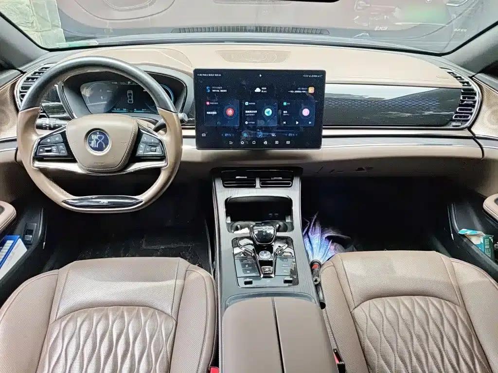 2020 Han DM 4WD Performance Premium Edition — миниатюра 5