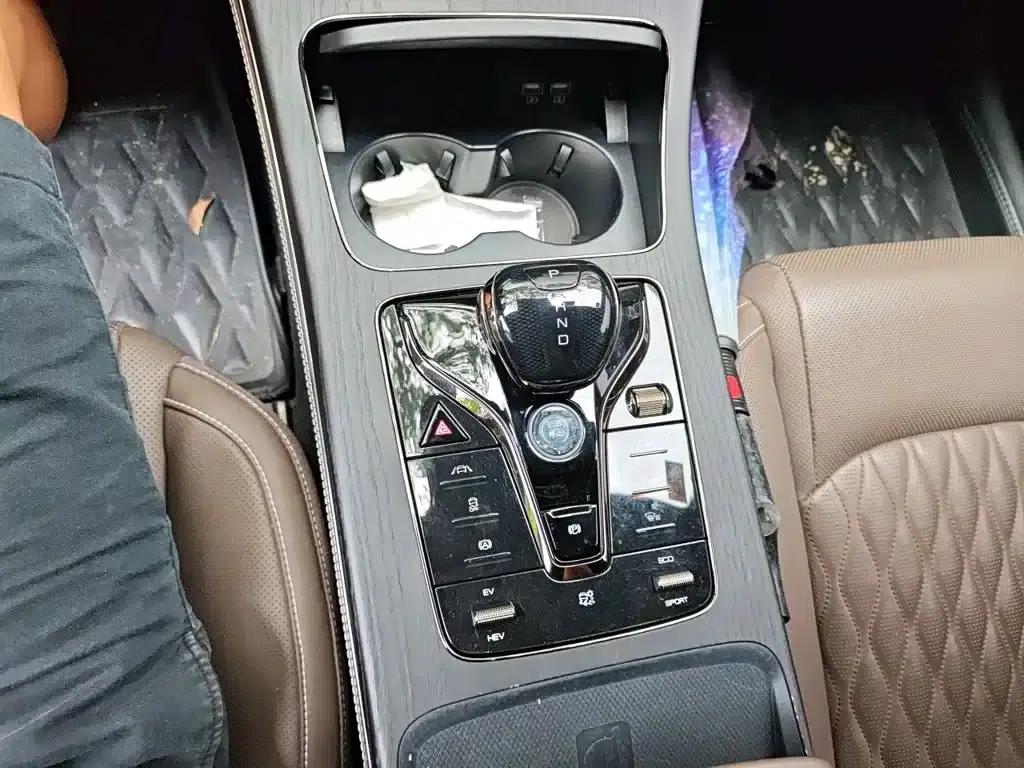 2020 Han DM 4WD Performance Premium Edition — миниатюра 10
