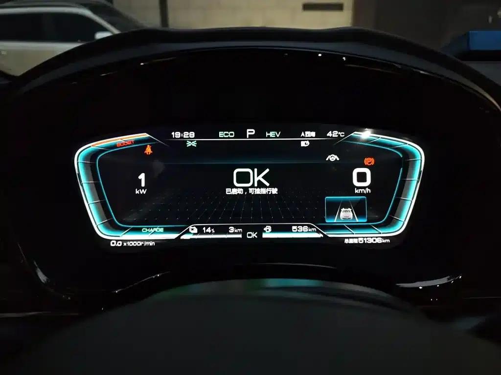 2020 Han DM 4WD Performance Luxury Edition — миниатюра 12