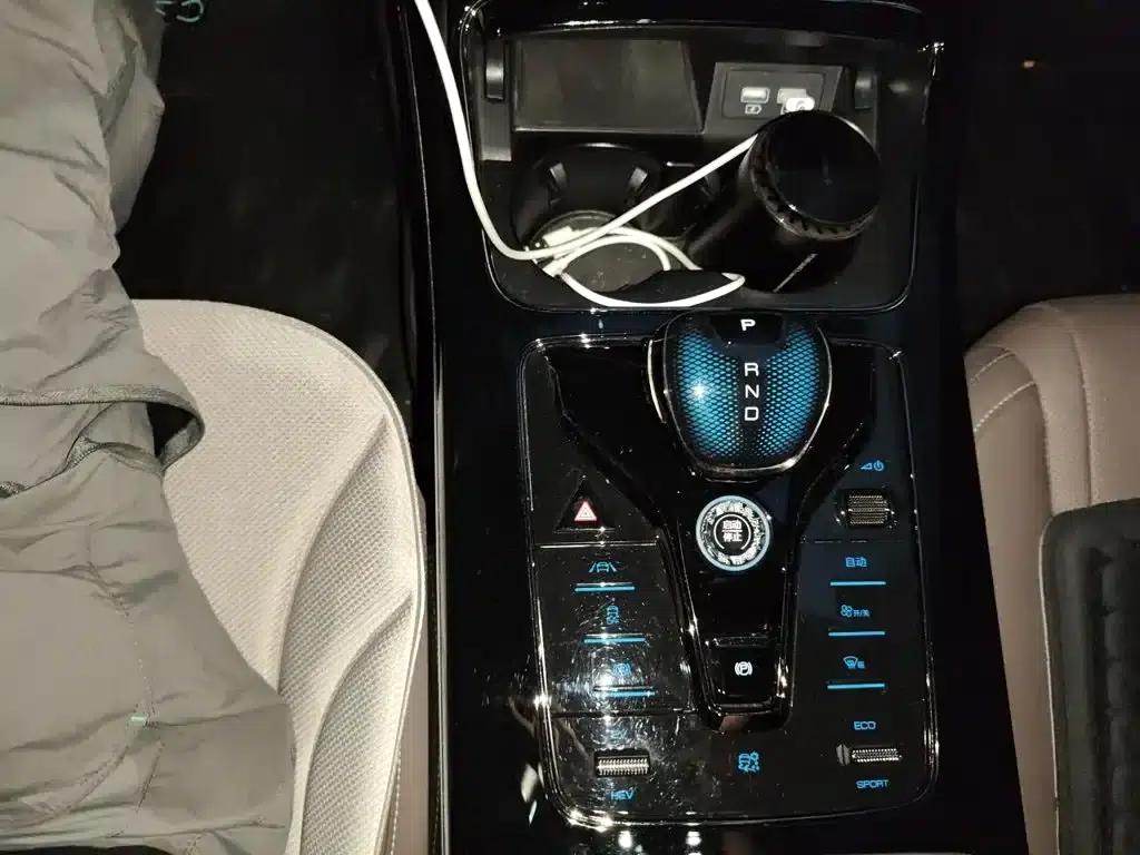 2020 Han DM 4WD Performance Luxury Edition — миниатюра 15