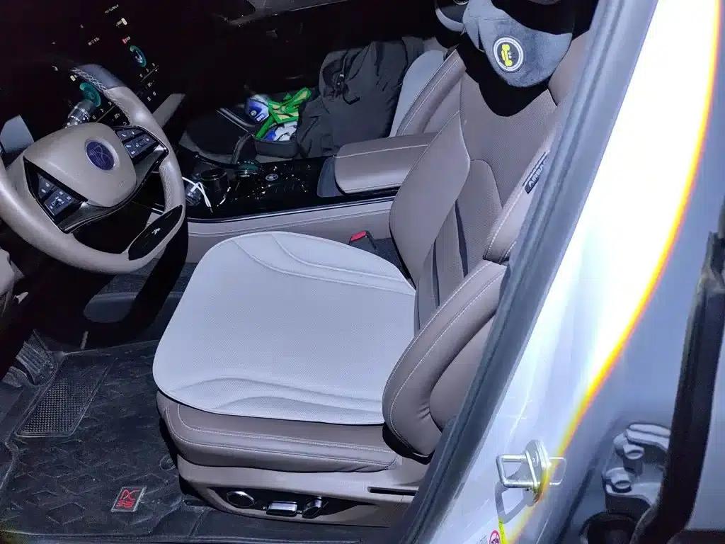 2020 Han DM 4WD Performance Luxury Edition — миниатюра 16