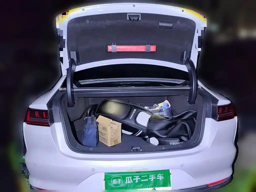 2020 Han DM 4WD Performance Luxury Edition — миниатюра 20
