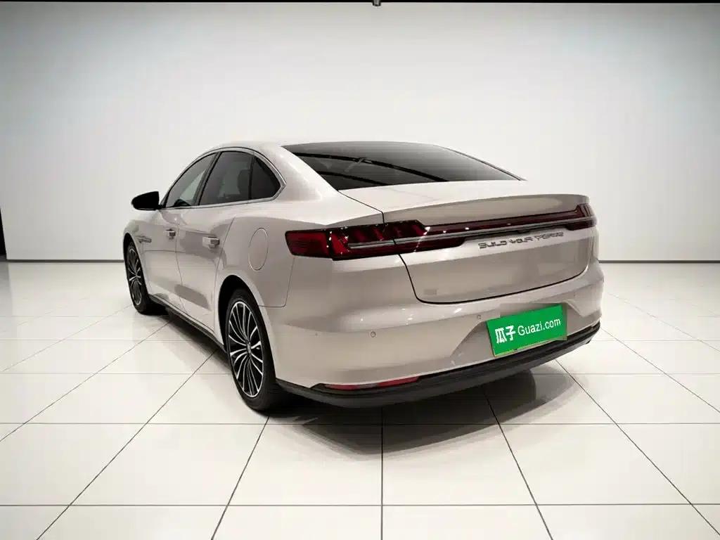 2020 Han DM 4WD Performance Luxury Edition — миниатюра 4