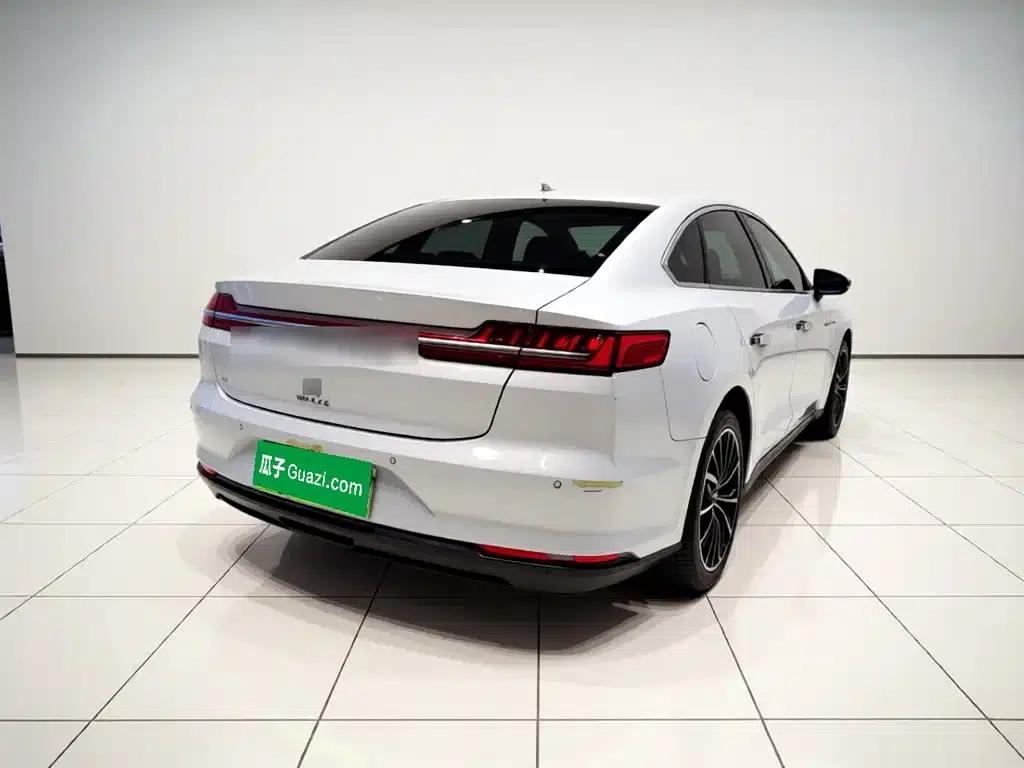 2020 Han DM 4WD Performance Luxury Edition — миниатюра 6