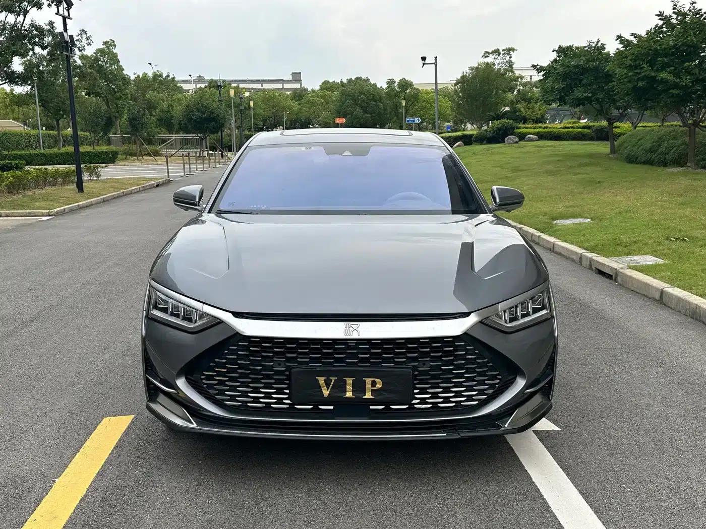2020 Han DM 4WD Performance Premium Edition — миниатюра 2