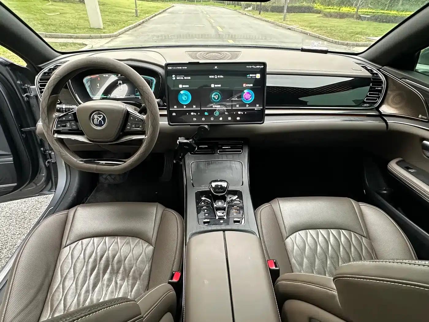 2020 Han DM 4WD Performance Premium Edition — миниатюра 11