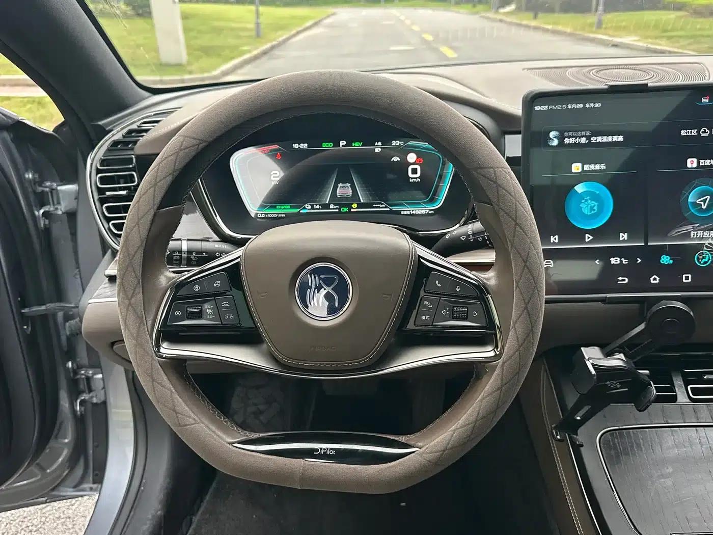 2020 Han DM 4WD Performance Premium Edition — миниатюра 12