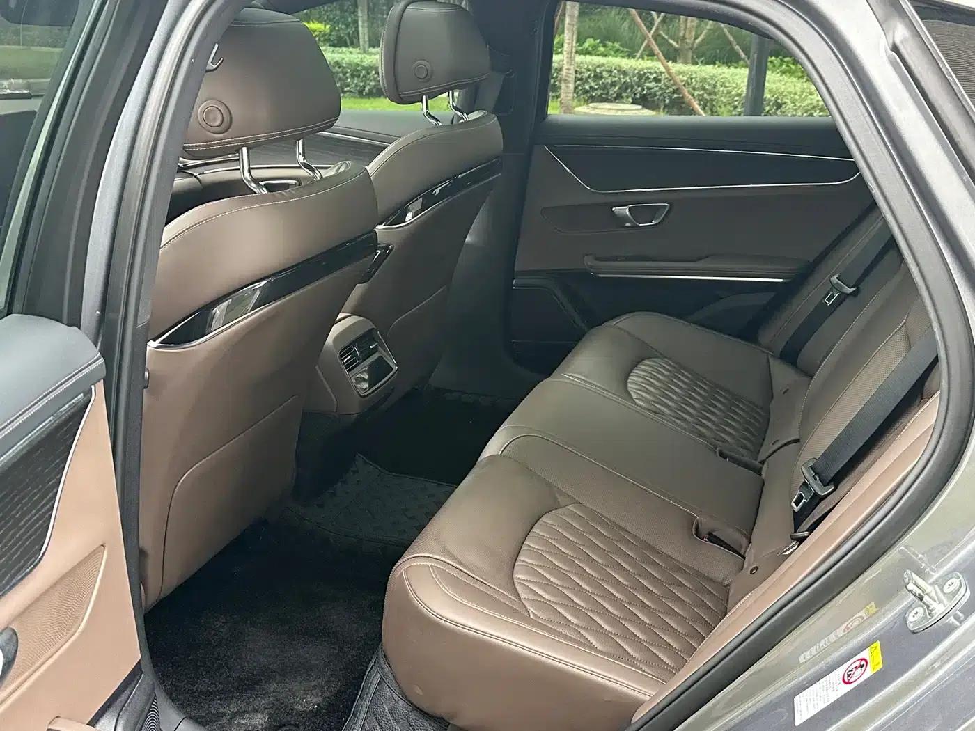 2020 Han DM 4WD Performance Premium Edition — миниатюра 8
