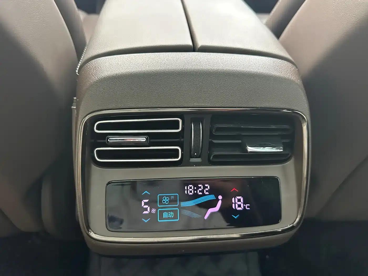 2020 Han DM 4WD Performance Premium Edition — миниатюра 10
