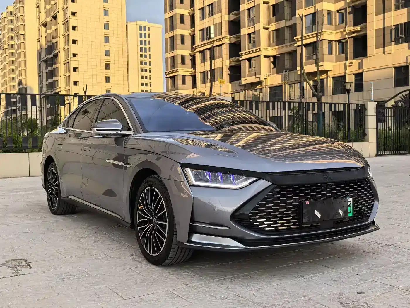2020 Han DM 4WD Performance Premium Edition — миниатюра 3