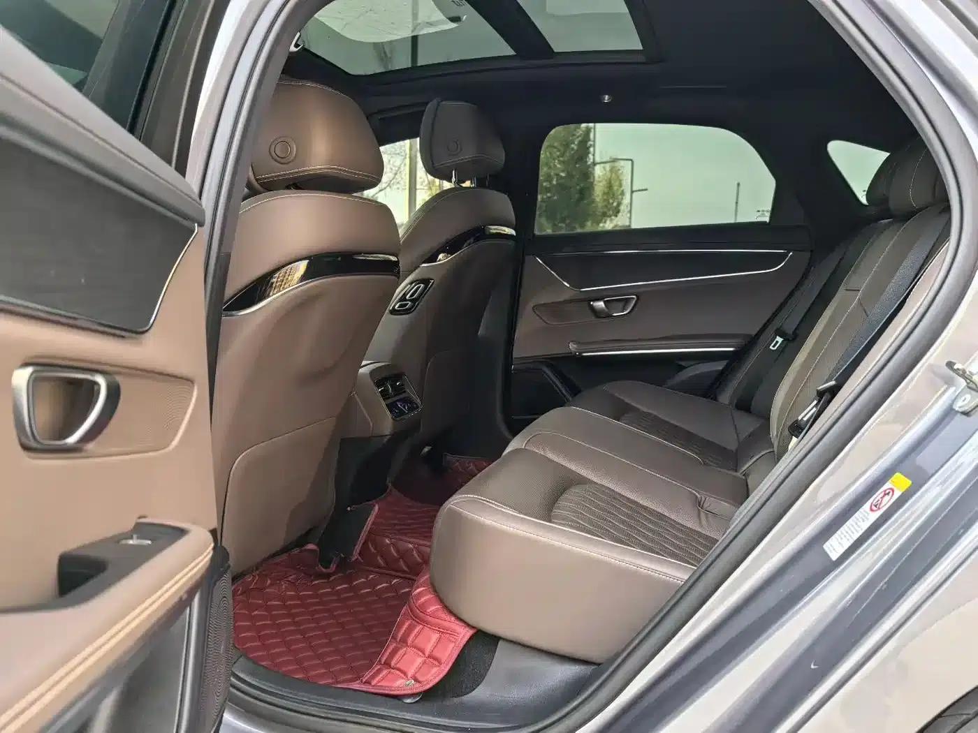 2020 Han DM 4WD Performance Premium Edition — миниатюра 5