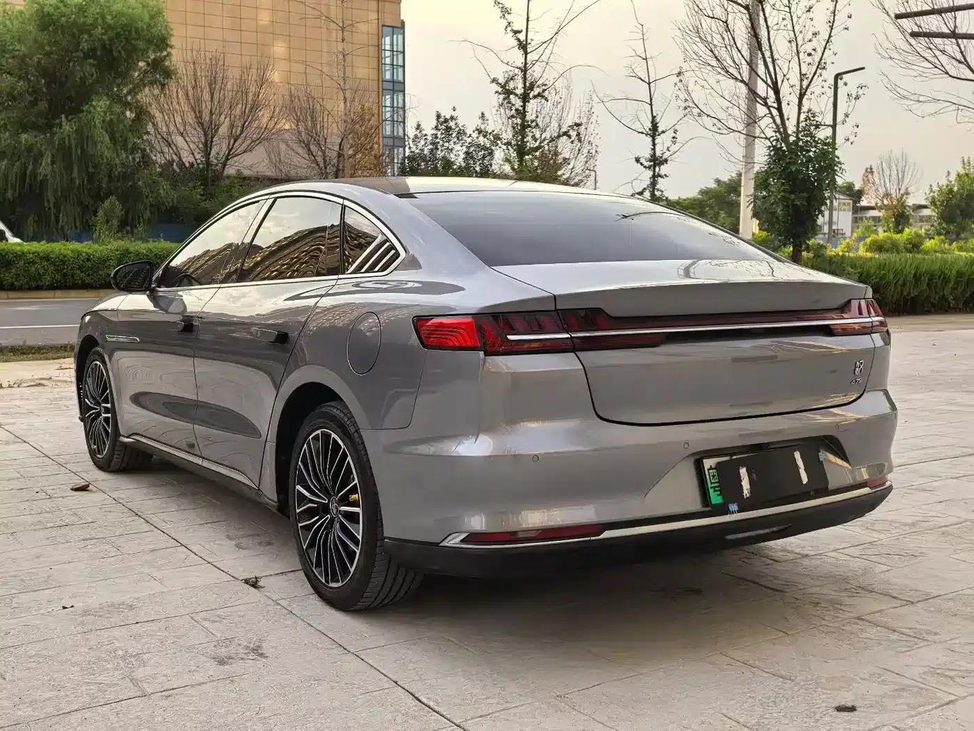 2020 Han DM 4WD Performance Premium Edition — миниатюра 7