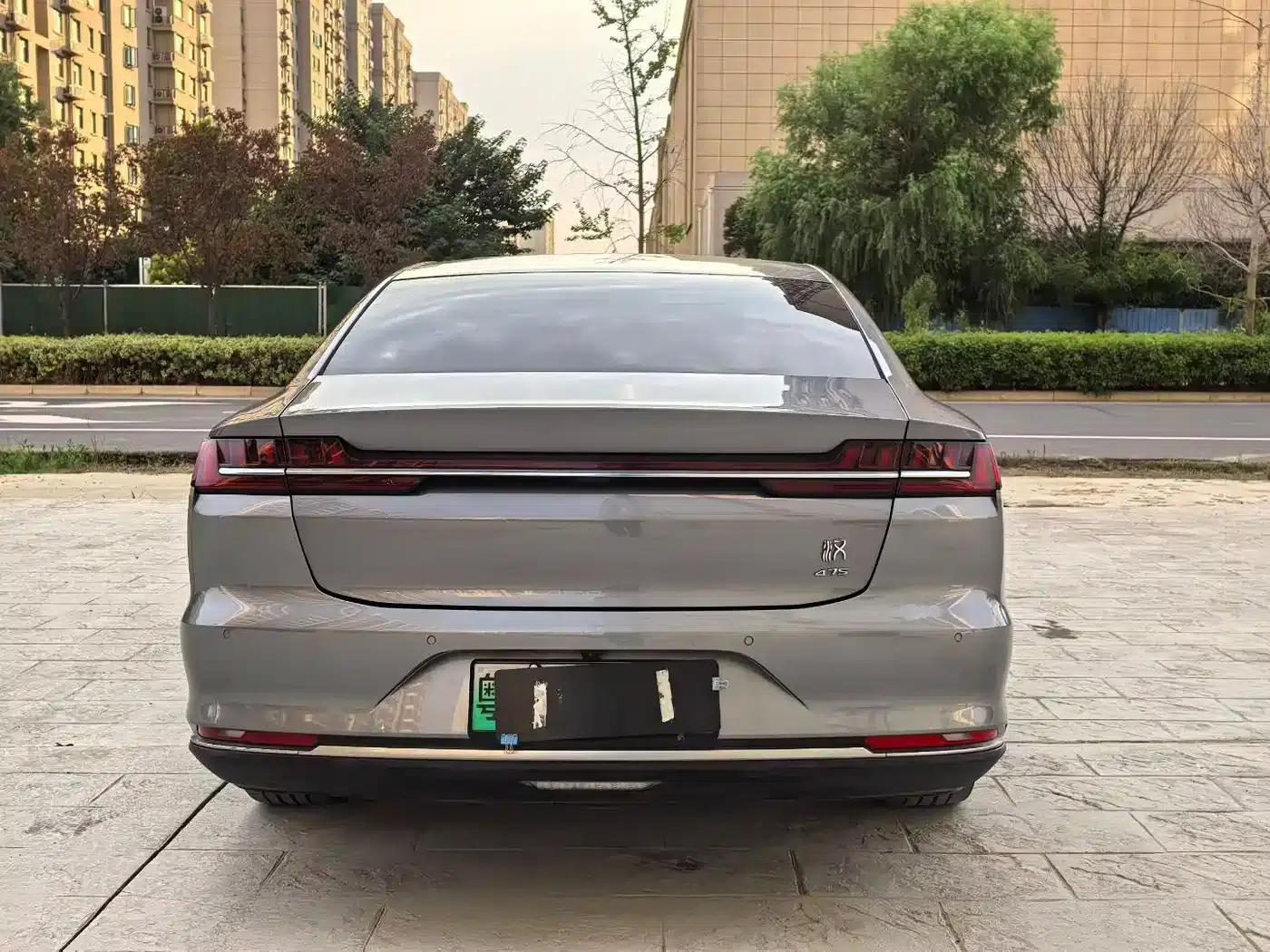 2020 Han DM 4WD Performance Premium Edition — миниатюра 8
