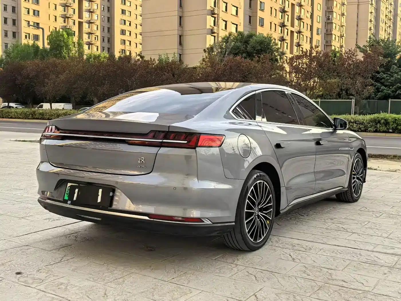 2020 Han DM 4WD Performance Premium Edition — миниатюра 9
