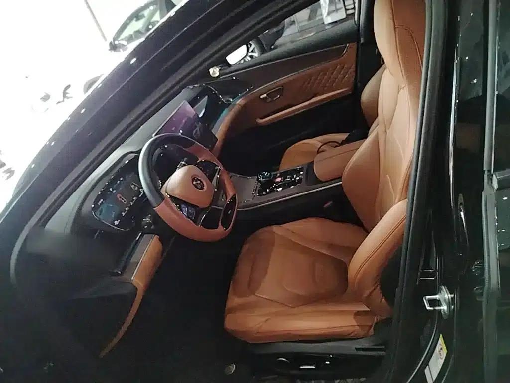 Han 2022 DM-p 202KM 4WD Flagship Edition — миниатюра 15