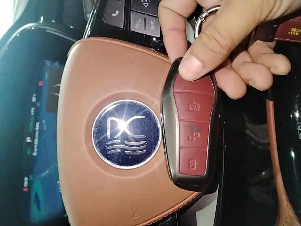 Han 2022 DM-p 202KM 4WD Flagship Edition — миниатюра 9