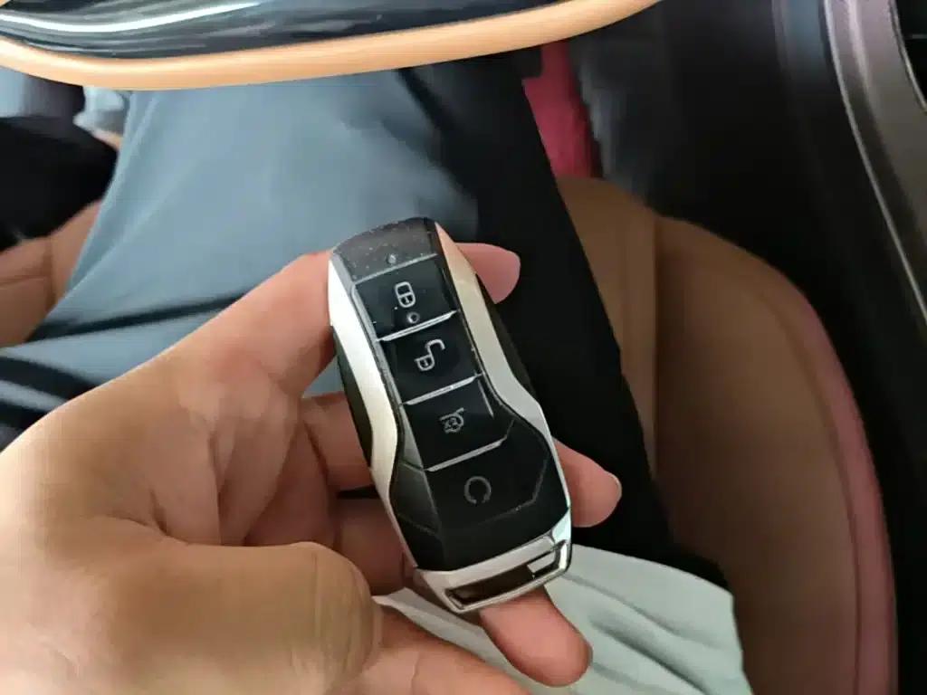Han 2020 EV AWD High Performance Flagship Edition — миниатюра 9