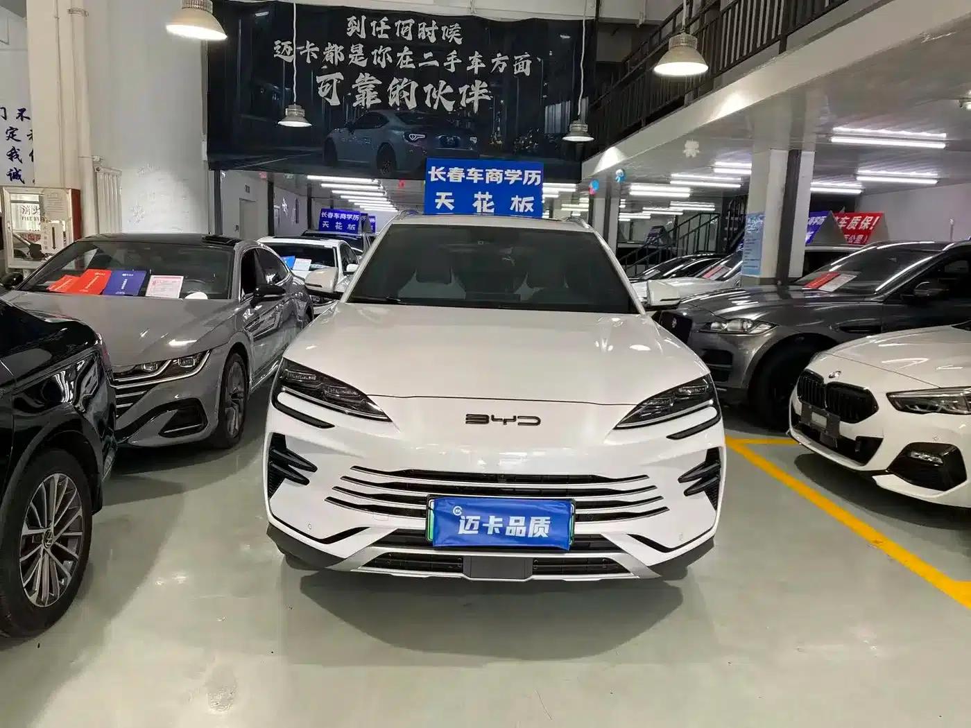 Song PLUS New Energy 2024 Glory Edition DM-i 110km Flagship Model — миниатюра 2