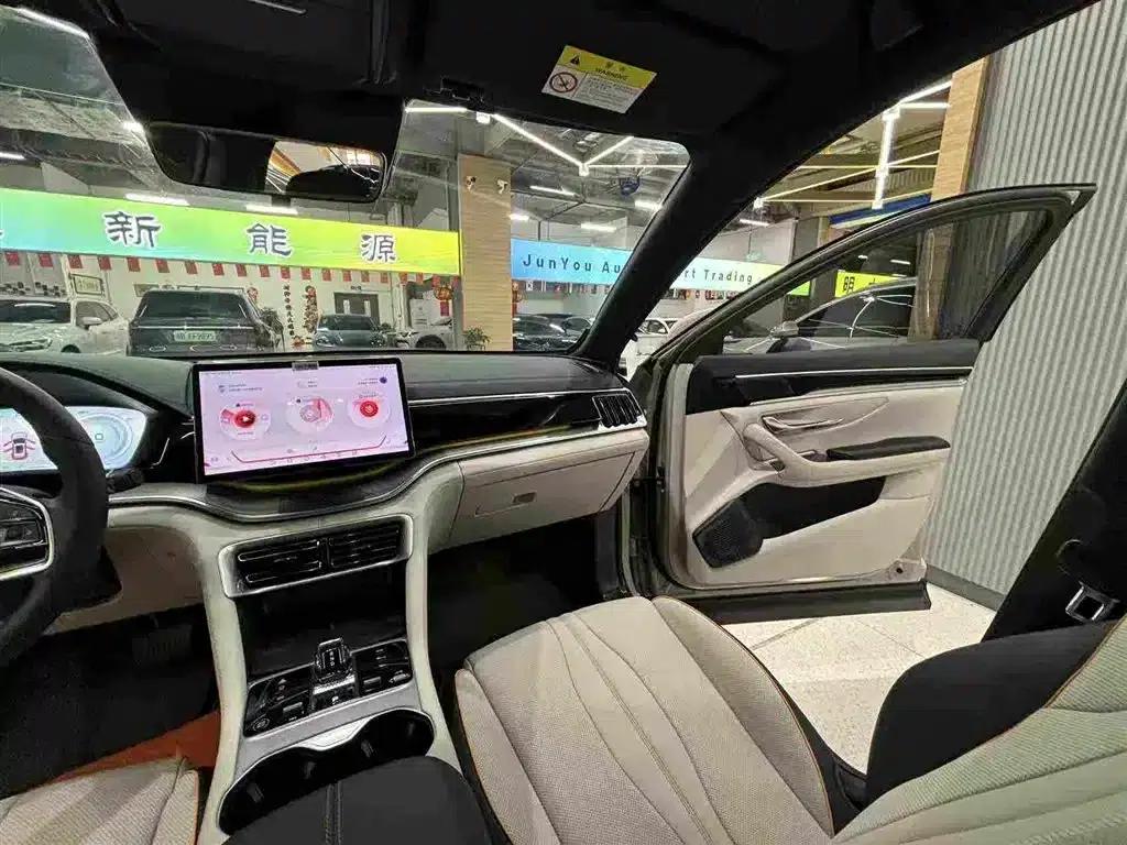 Song PLUS New Energy 2024 Glory Edition DM-i 110km Flagship PLUS — миниатюра 18