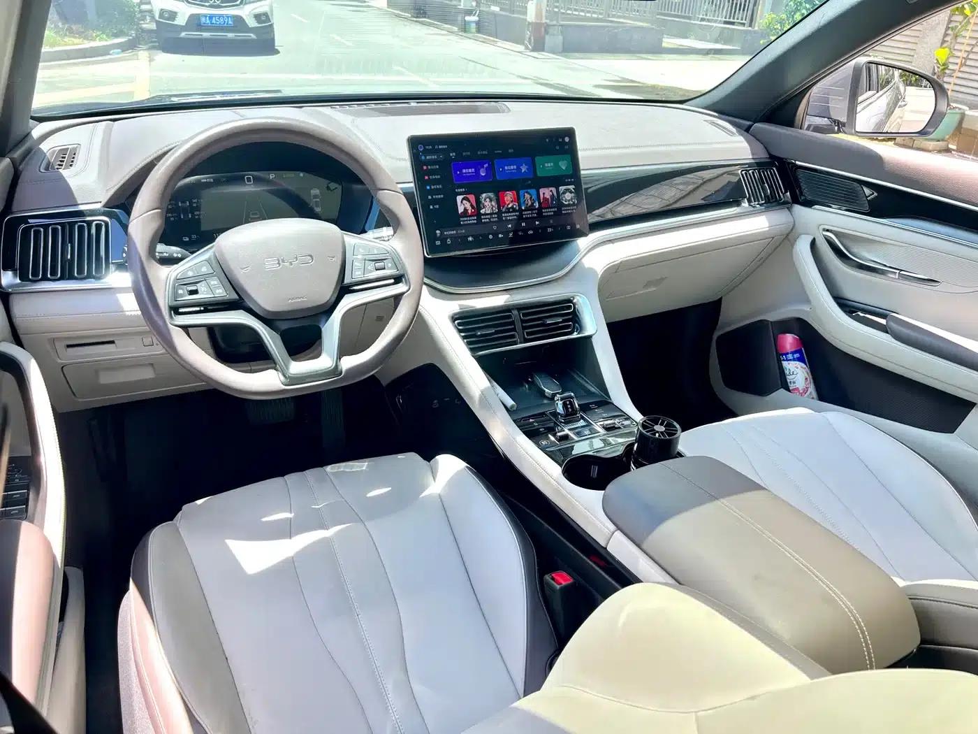 Song PLUS New Energy 2025 EV 520km Luxury Edition — миниатюра 10