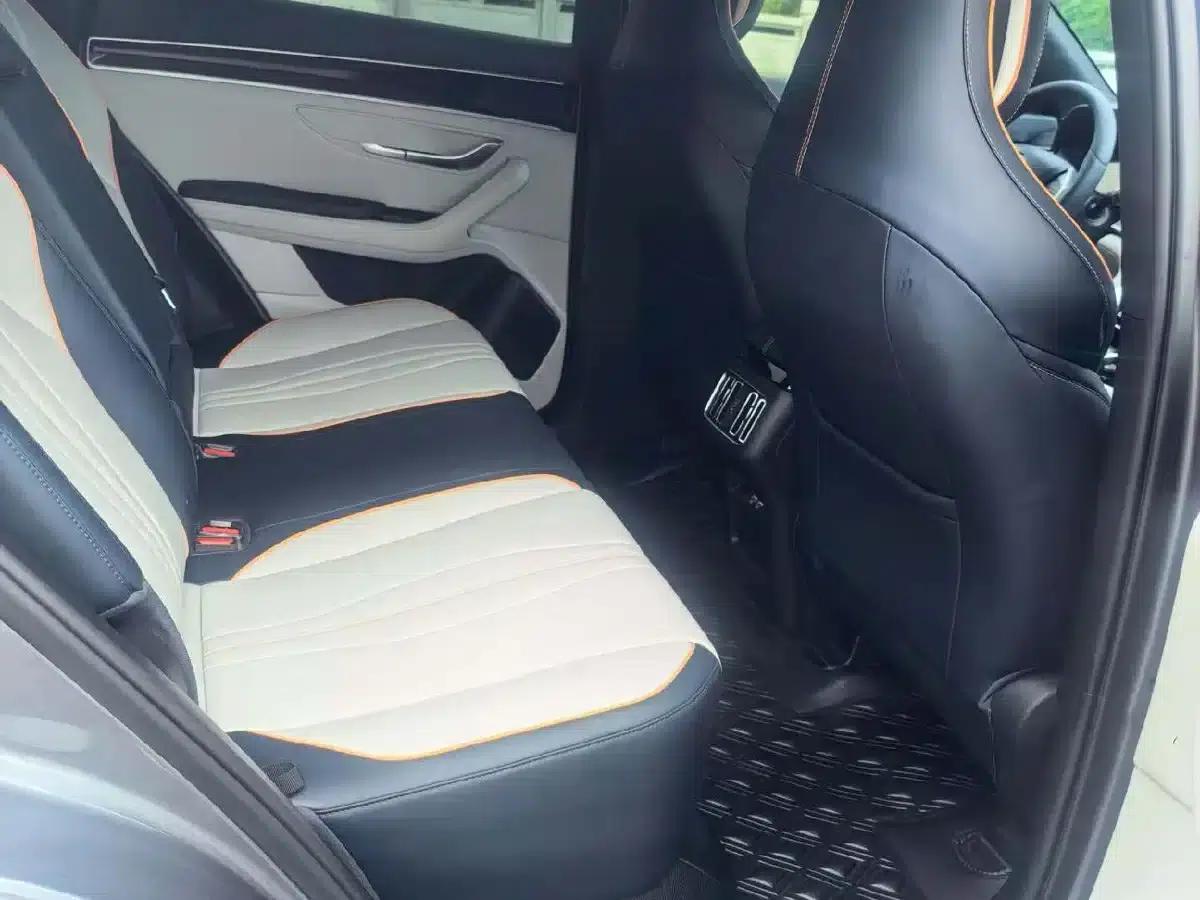 Song PLUS New Energy 2023 Champion Edition EV 520KM Premium — миниатюра 5