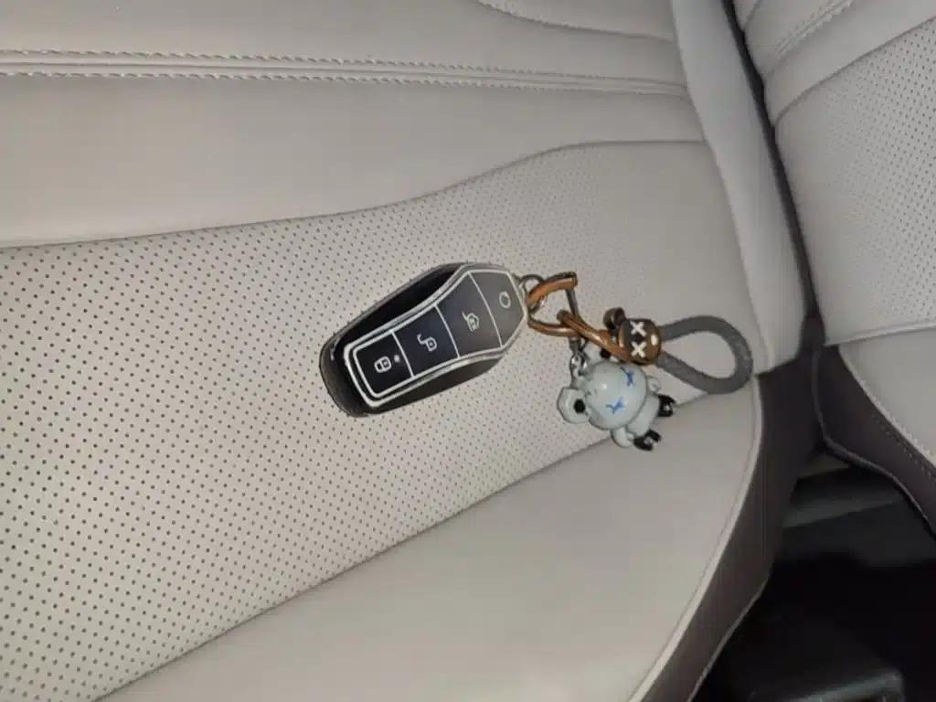 Song PLUS New Energy 2024 Glory Edition EV 520km Flagship Model — миниатюра 9