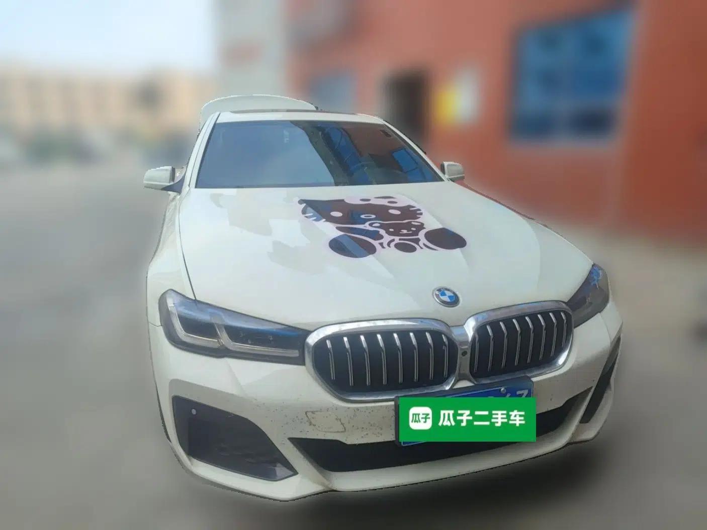 BMW 5 Series 2011 523Li Leading Model — миниатюра 2