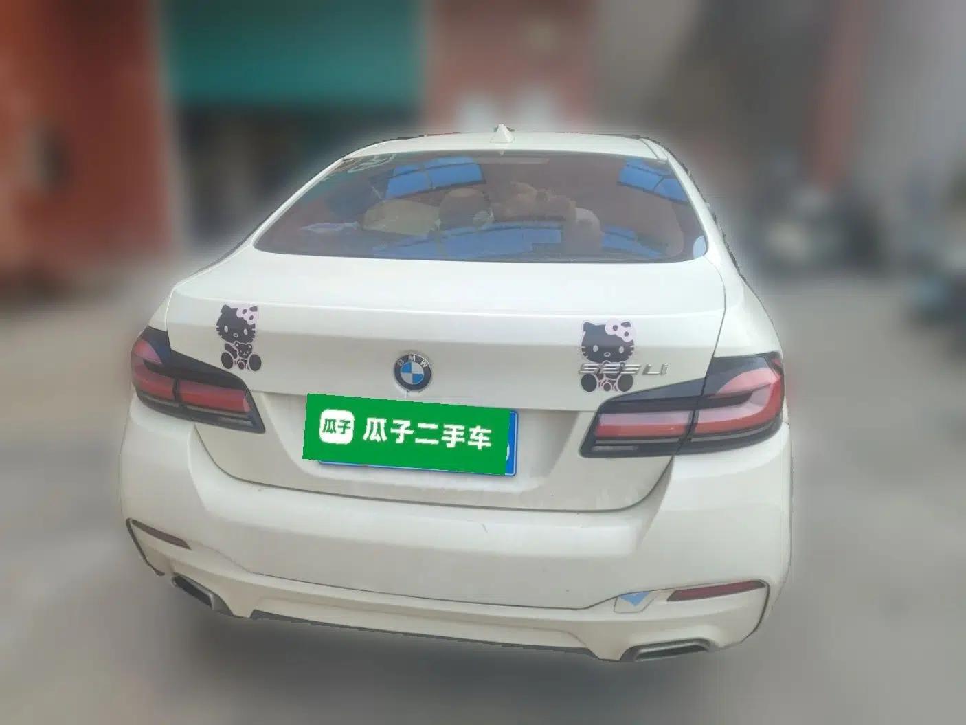 BMW 5 Series 2011 523Li Leading Model — миниатюра 5