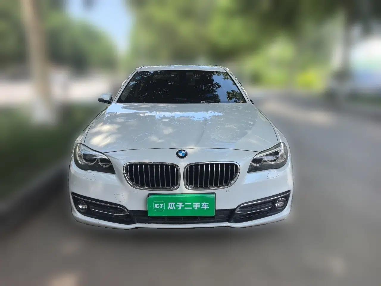 BMW 5 Series 2014 525Li Luxury Design Package — миниатюра 2