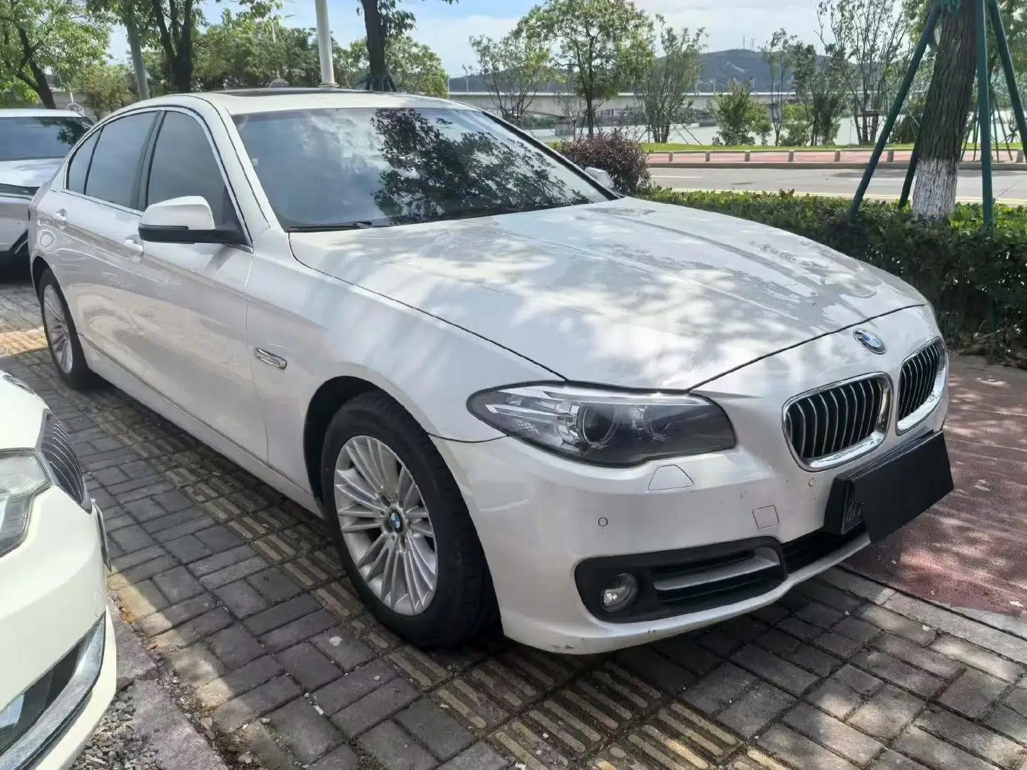 BMW 5 Series 2014 525Li Leading Model — миниатюра 3