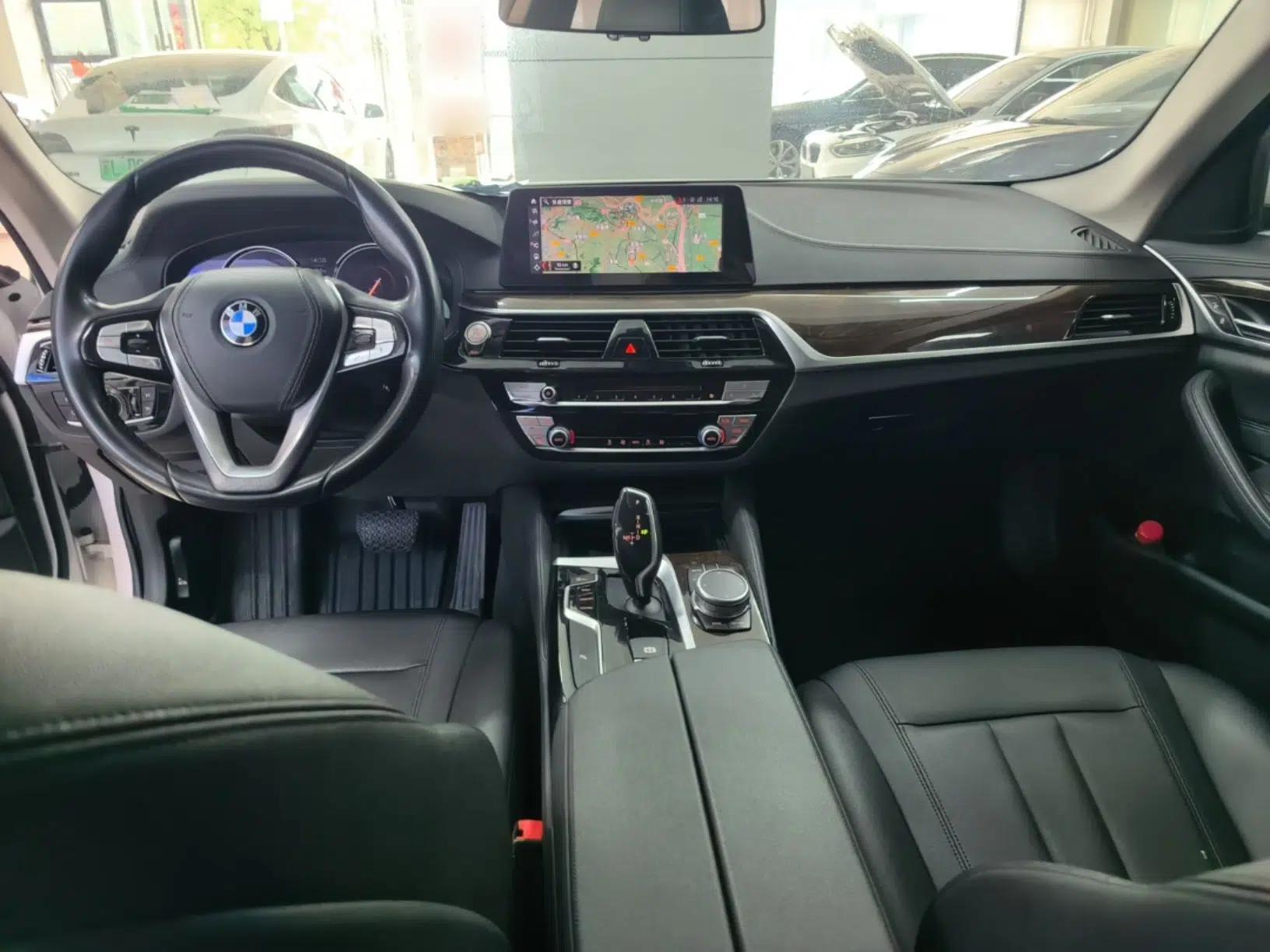 BMW 5 Series 2018 525Li Luxury Package — миниатюра 12