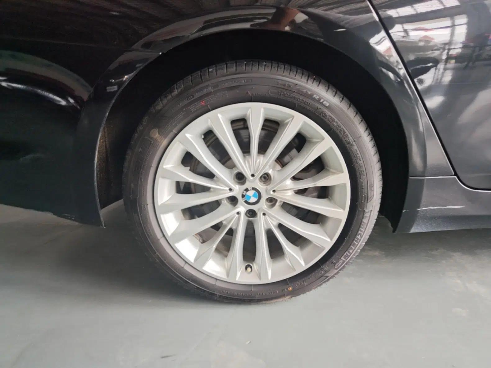 BMW 5 Series 2018 Revised Version 530Li Leading Edition Luxury Package — миниатюра 11