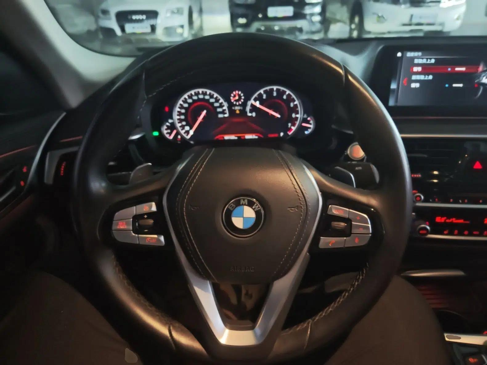 BMW 5 Series 2018 Revised Version 530Li Leading Edition Luxury Package — миниатюра 13