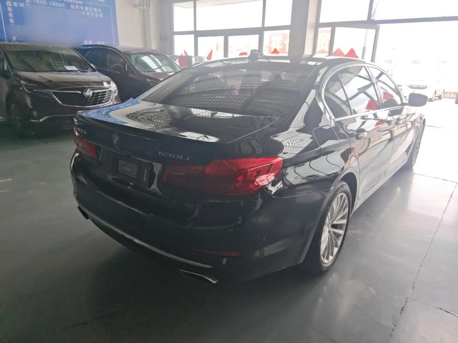 BMW 5 Series 2018 Revised Version 530Li Leading Edition Luxury Package — миниатюра 6