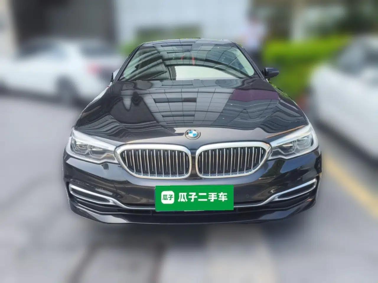 BMW 5 Series 2020 530Li Leading Edition Luxury Package — миниатюра 2