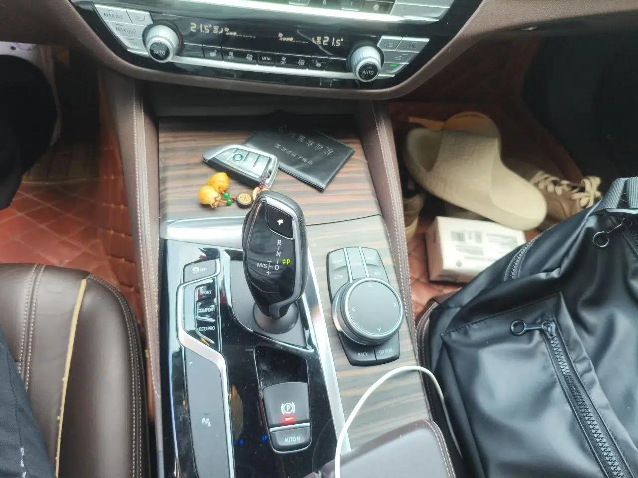 BMW 5 Series 2020 530Li Leading Edition Luxury Package — миниатюра 14