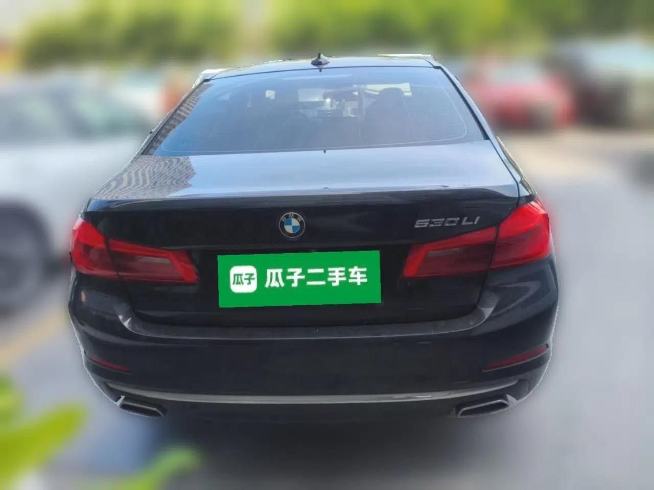 BMW 5 Series 2020 530Li Leading Edition Luxury Package — миниатюра 5