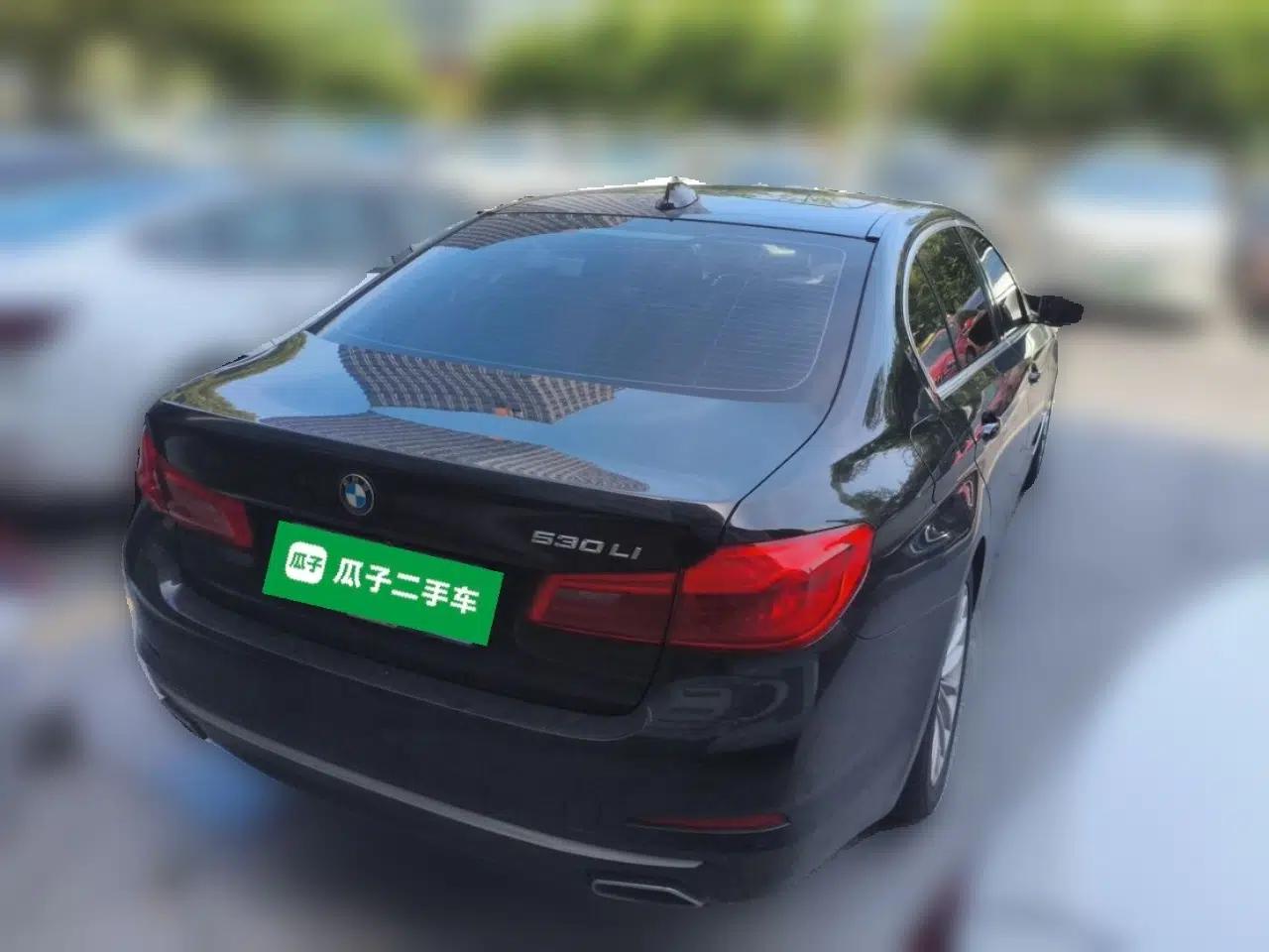BMW 5 Series 2020 530Li Leading Edition Luxury Package — миниатюра 6