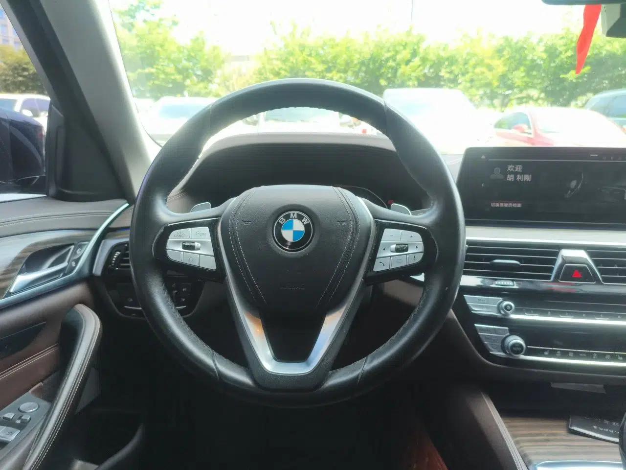 BMW 5 Series 2020 530Li Leading Edition Luxury Package — миниатюра 10