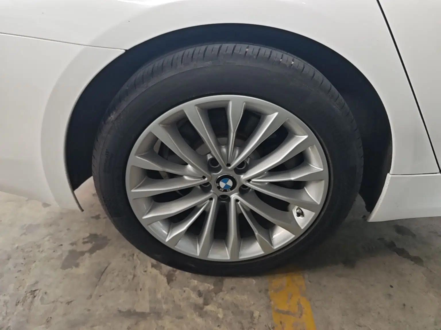 BMW 5 Series 2020 530Li xDrive Luxury Package — миниатюра 11