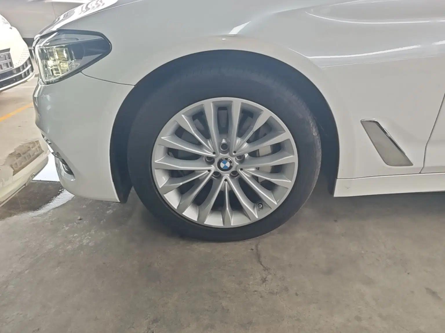 BMW 5 Series 2020 530Li xDrive Luxury Package — миниатюра 10