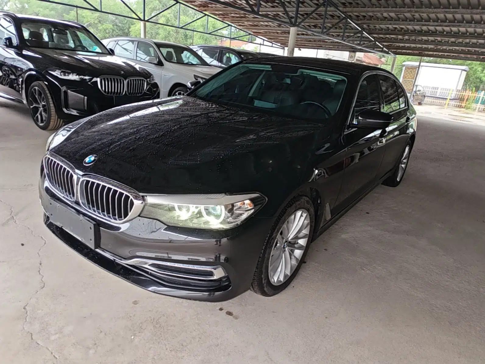 BMW 5 Series 2019 Facelifted 530Li Leading Edition Luxury Package — миниатюра 1