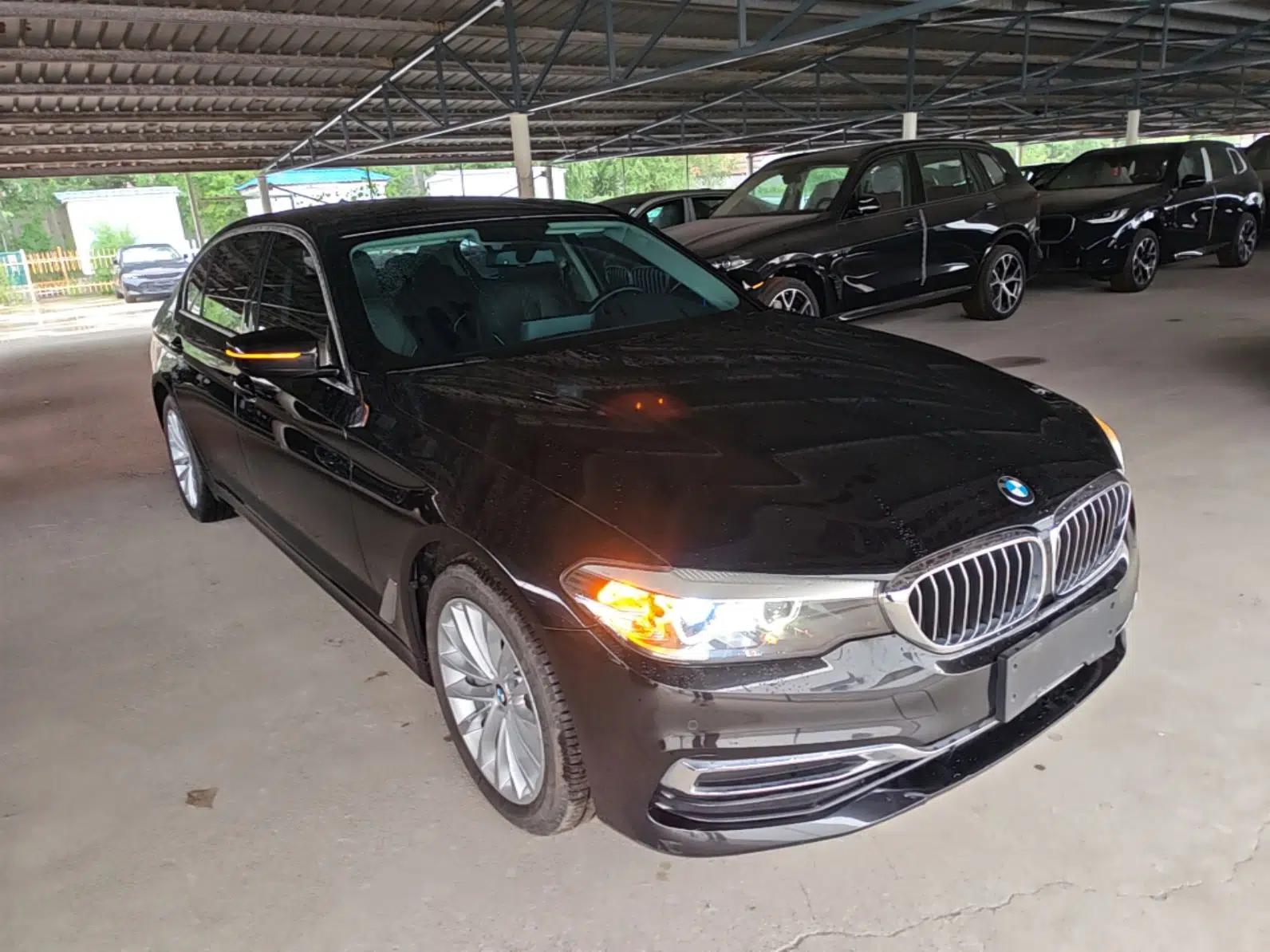 BMW 5 Series 2019 Facelifted 530Li Leading Edition Luxury Package — миниатюра 3